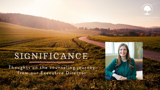 thoughts on the counseling journey